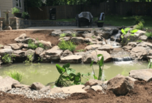 Koi Pond