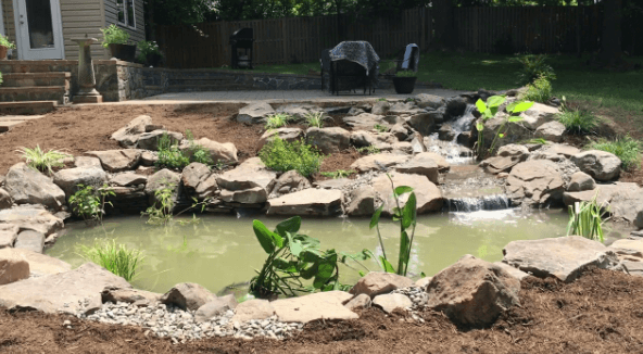 Koi Pond