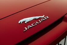 acutromon latest features revealed