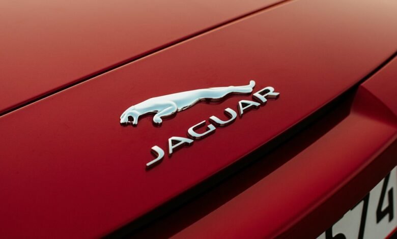 acutromon latest features revealed