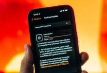 qilfozitowiz updates and features