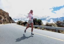 cross sector momentum index analysis