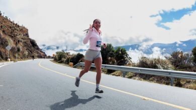 cross sector momentum index analysis