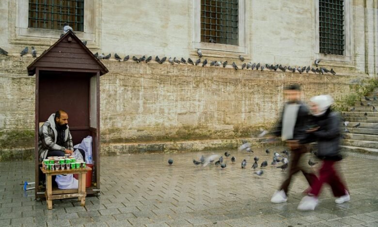 market interaction analysis dossier