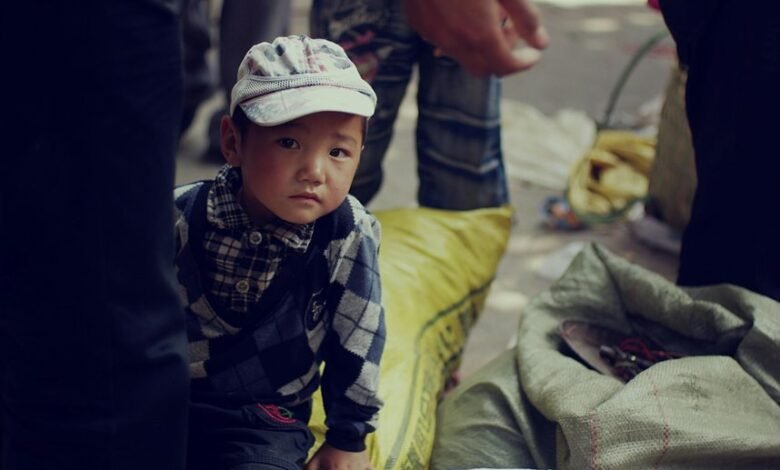 market shift observation log