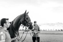 network coordination process evaluation