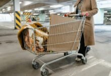 operational efficiency analysis data