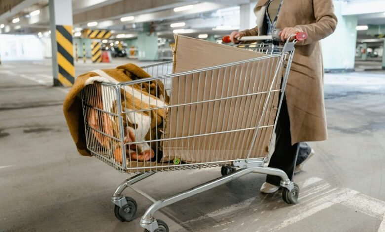 operational efficiency analysis data