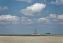 quantitative signal ledger numbers