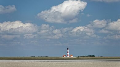 quantitative signal ledger numbers