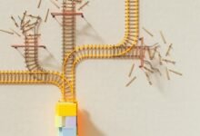 strategic signal alignment brief