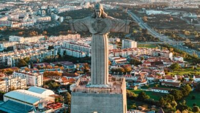 line status overview report