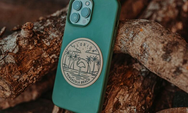 phone log entry details