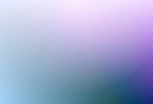 phone number verification check