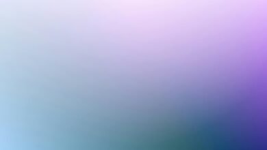 phone number verification check