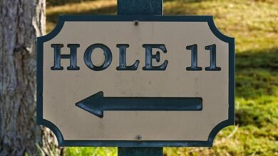 competitive growth strategy guide