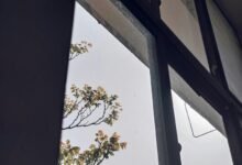 strategic competitive growth insights