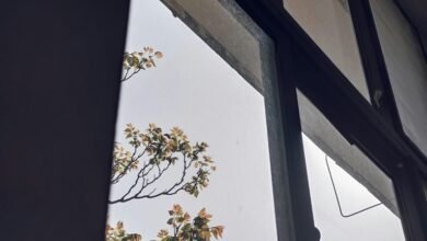 strategic competitive growth insights