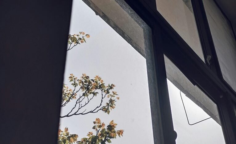 strategic competitive growth insights