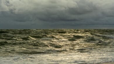 strategic path for horizon