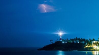 vertex beam business surge