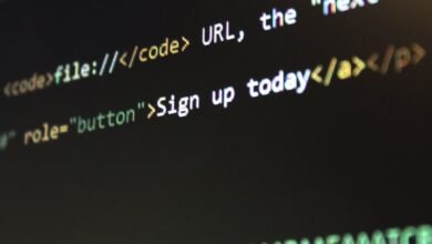 web entity classification and noise detection