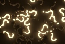 web query pattern identifiers and usernames