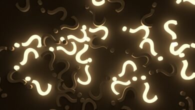 web query pattern identifiers and usernames