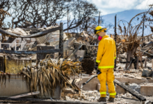 Study Reveals Toxic Residue Left After Building Works