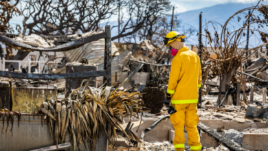 Study Reveals Toxic Residue Left After Building Works