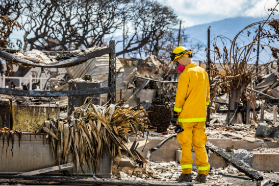 Study Reveals Toxic Residue Left After Building Works